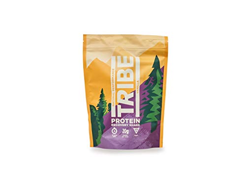 TRIBE Nutrition Natural Vegan Protein Powder, Gluten and Dairy Free Shake, Vanilla and Cinnamon Flavour - 500 Gram Pouch (12 Servings) | High-Quality Sports Nutrition | MySupplementShop.co.uk