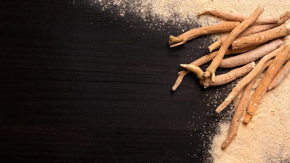 Discover the Power of Ashwagandha: Your Ultimate Guide to This Ancient Herb