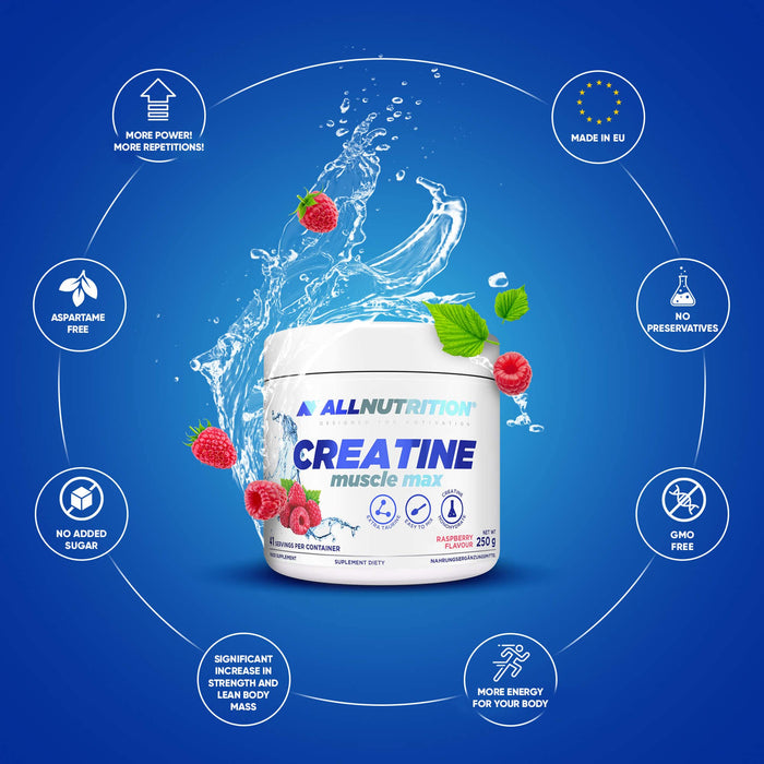 Creatine Muscle Max, Raspberry - 250g - Creatine Supplements at MySupplementShop by Allnutrition