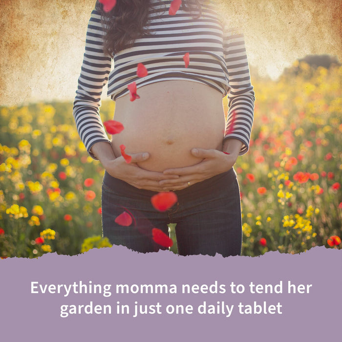 Garden of Life Mykind Organics Prenatal Once Daily - 30 vegan tabs | High-Quality Vitamins & Minerals | MySupplementShop.co.uk