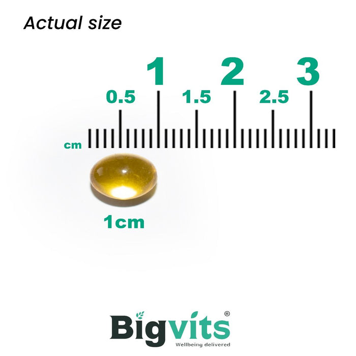 Doctor's Best Vitamin D3 125 mcg (5,000 IU) 360 Softgels - Vitamins & Minerals at MySupplementShop by Doctor's Best