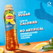 Lipton Ice Tea 24 x 500ml