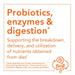 NOW Foods OralBiotic 60 Lozenges - Health and Wellbeing at MySupplementShop by NOW Foods