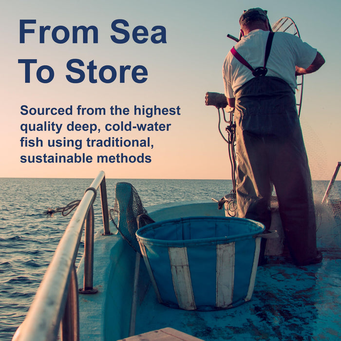 Nootropic Mushroom Complex 90 Tablets