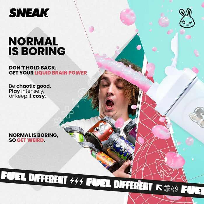 SNEAK Energy 12x500ml