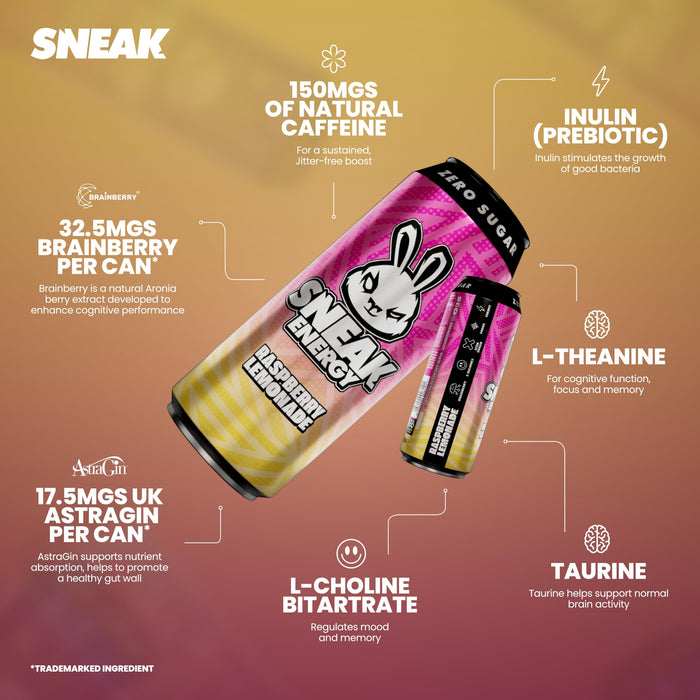 SNEAK Energy 12x500ml
