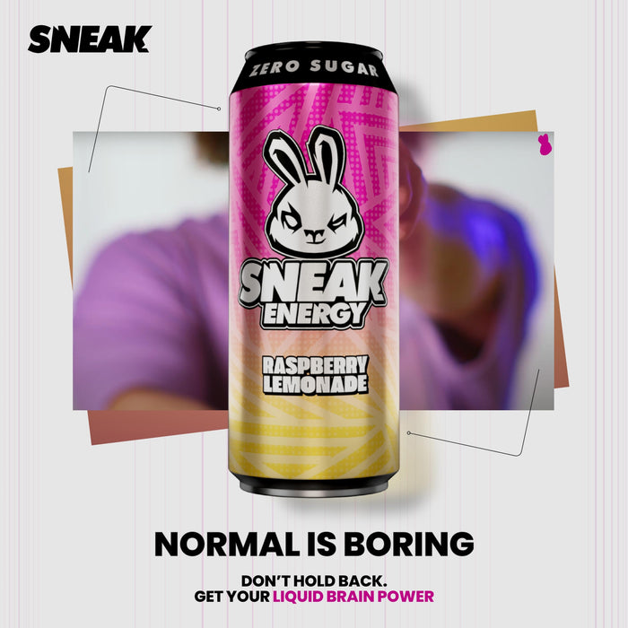 SNEAK Energy 12x500ml