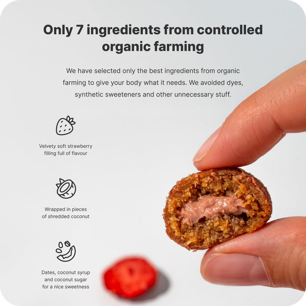 Vilgain Organic Plant Protein Energy Balls 15 x 45g