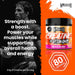 Warrior Creatine + Vitamins 360g