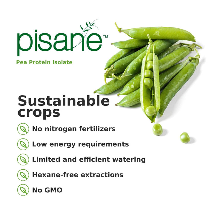 Weider Vegan Protein 300g