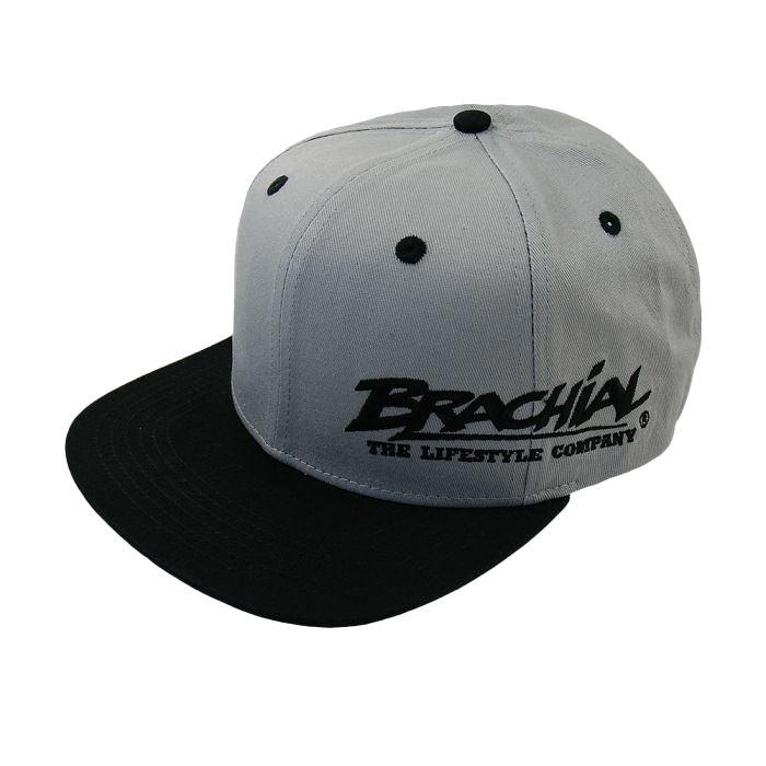 Brachial Snapback Cap Protect - Light Grey/Black