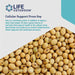 Life Extension Lecithin 16oz (454 g) | Premium Supplements at MYSUPPLEMENTSHOP