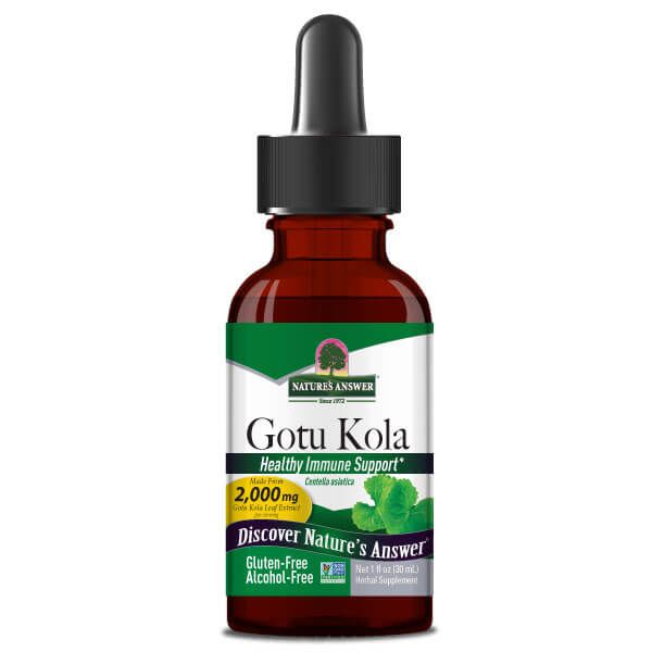 Nature's Answer Gotu Kola Extract 2,000mg 1 Oz (30ml) - Brain & Memory at MySupplementShop by Natures Answer Inc