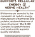 Nature's Way Vitamin B-100 Complex 100 Capsules | Premium Supplements at MYSUPPLEMENTSHOP