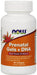NOW Foods Prenatal Gels + DHA - 90 softgels - Vitamins & Minerals at MySupplementShop by NOW Foods