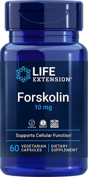 Life Extension Forskolin, 10mg - 60 vcaps - Slimming and Weight Management at MySupplementShop by Life Extension